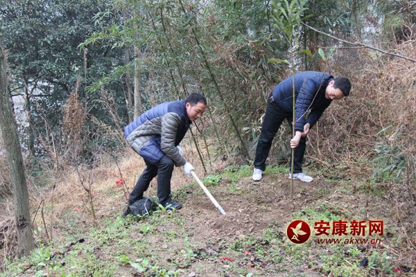 3��11�գ����޿hֱ�C(j��)�P(gu��n)300���˅����x��(w��)ֲ����(d��ng)����(d��ng)����ֲ���˘�1400����ԓ�hӋ(j��)������G������6.2�f(w��n)�������д�����