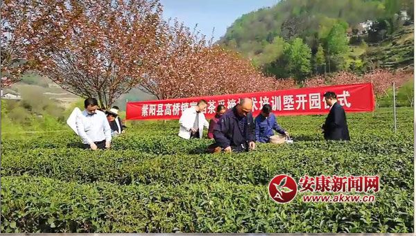 ���(y��ng)�ߘ��(zh��n)�����_(k��i)������