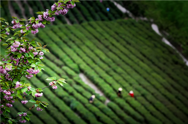 ������@���L��