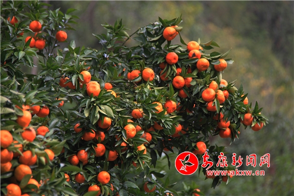 ���޴���ӣ����ǳ��S�پG�r(sh��)