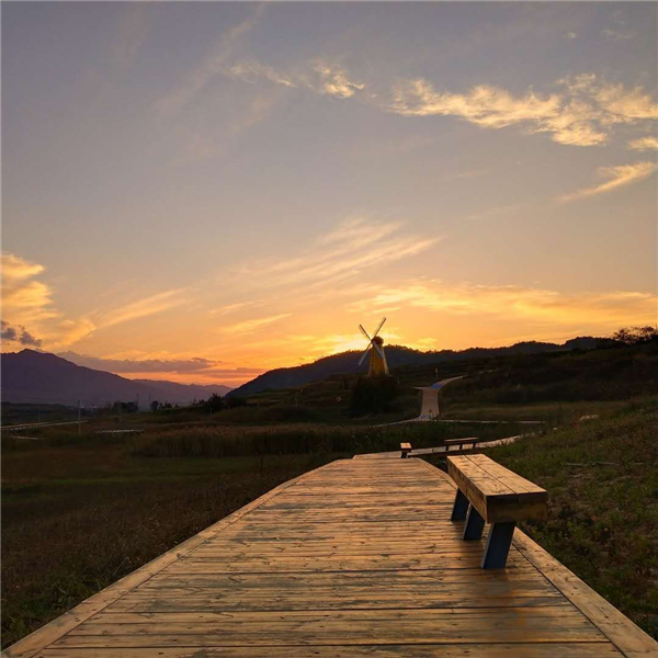 ɽӳб�(y��ng)