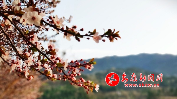 ��ɫ���� ����ˮ�l(xi��ng)