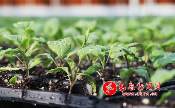 ��������(d��ng)�r