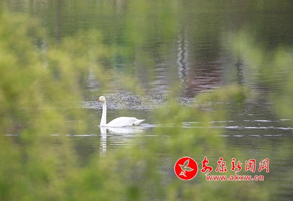 ����ˮ�l(xi��ng)�ô���