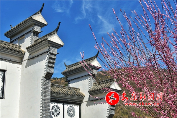 ƽ����������ɽ����(j��ng)��