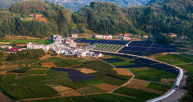 �h�I�^(q��)�̉��(zh��n)�����^(q��)ꃲ�һ̖��������