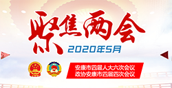 2020�����ɕ�