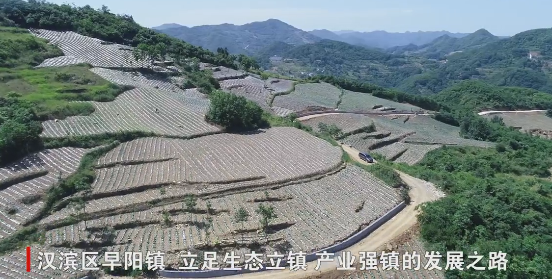 �h�I�^(q��)����(zh��n)�������l(f��)չ����(d��o)�a(ch��n)�I(y��) ����(sh��)�l(xi��ng)�����d���A(ch��)