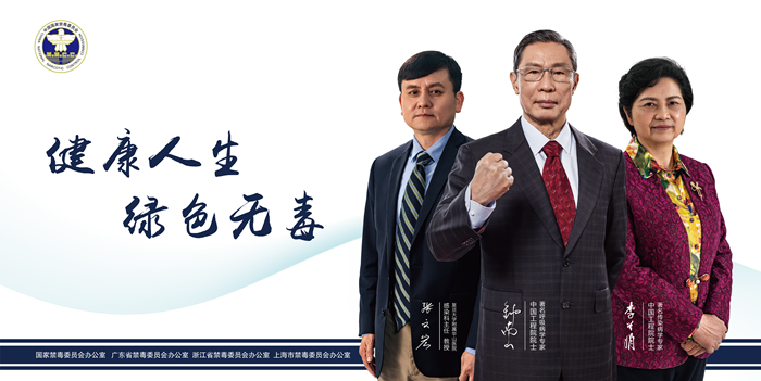 ������������Ƭ