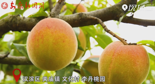 ҕ�� | ��҈@����������