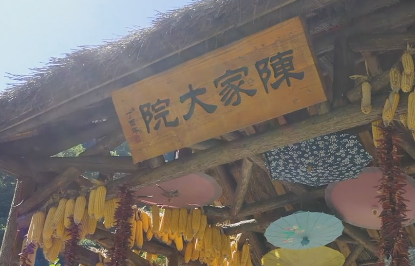 ҕ������ꐼҴ�Ժ�����l(xi��ng)������ ���w��r(n��ng)��������