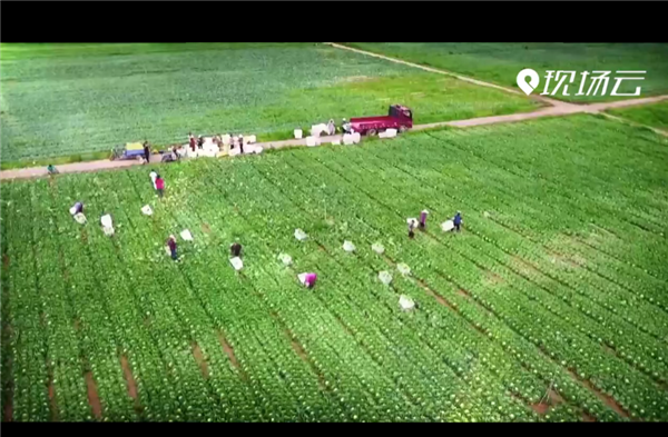 ȫ����Óؚ���ԡ���(y��u)��o(j��)�Ƭչ�������Q��(zh��n)Óؚ�ڽ񳯡���һ�� ����Ӳ���^������