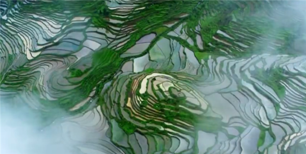 ȫ����Óؚ���ԡ���(y��u)��o(j��)�Ƭչ�����o(j��)�Ƭ�����Ӣ����Ϧ�������弯����������