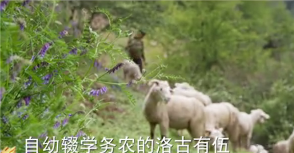 ȫ����Óؚ����(ji��n)����(y��u)��o(j��)�Ƭչ�����o(j��)�Ƭ������(ji��n)��ӛ�������������ĽY(ji��)5