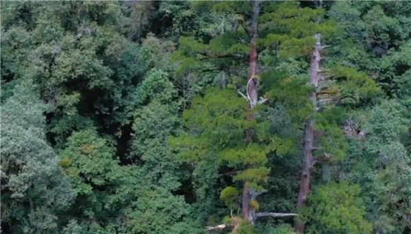 ȫ����Óؚ���ԡ���(y��u)��o(j��)�Ƭչ��������Խŭ������������ؓ(f��)��ɽ