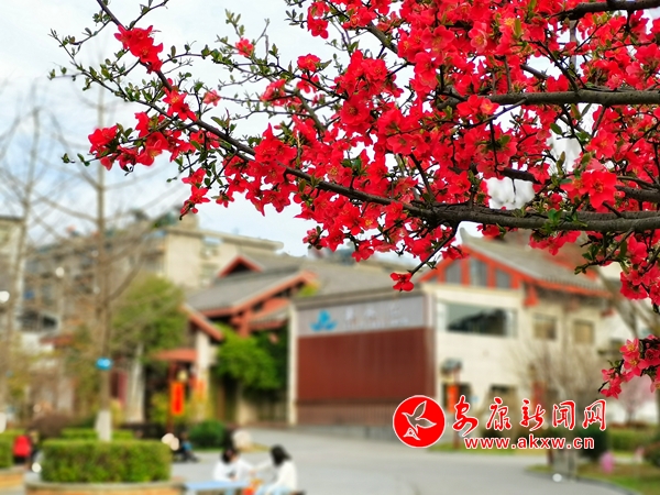 ���@��Ĵ���