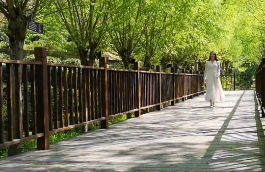 ꖹ��đB(t��i)���ɾ���������