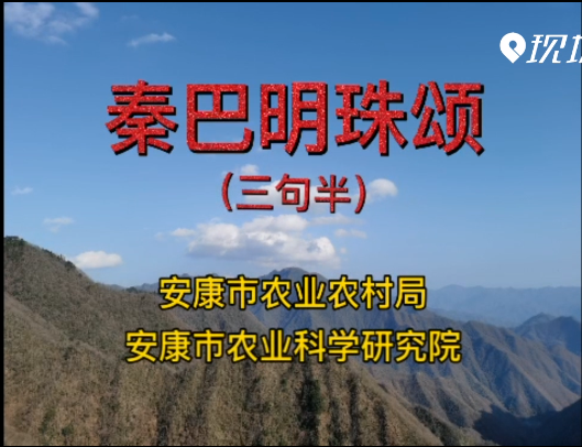 �ذ������