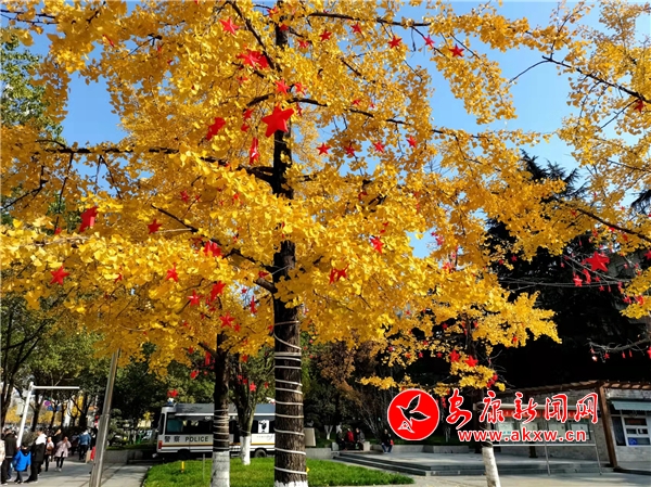 ����ů�(y��ng)�y�Ә�