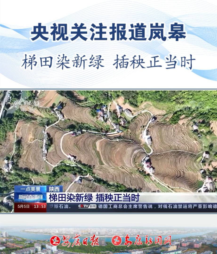 ��ҕ�P(gu��n)ע��(b��o)�����޿h�όmɽ�(zh��n)�𻨴塪��������Ⱦ�¾G ��������(d��ng)�r����