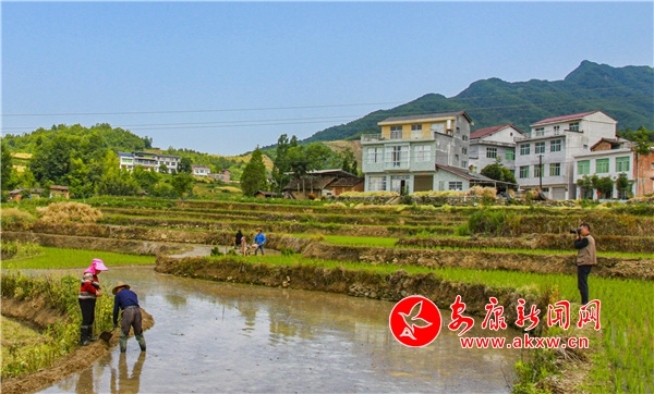 �h��P�߹����� �����r(n��ng)æ����(d��ng)�r(sh��)