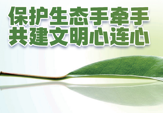 ���o���B(t��i)�֠��� �����������B��