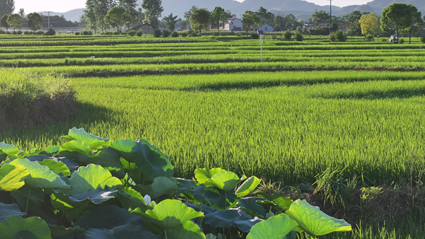 ���յ���G�ⰻȻ