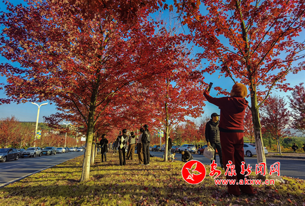 �t�~�^�p����(d��ng)�r(sh��)