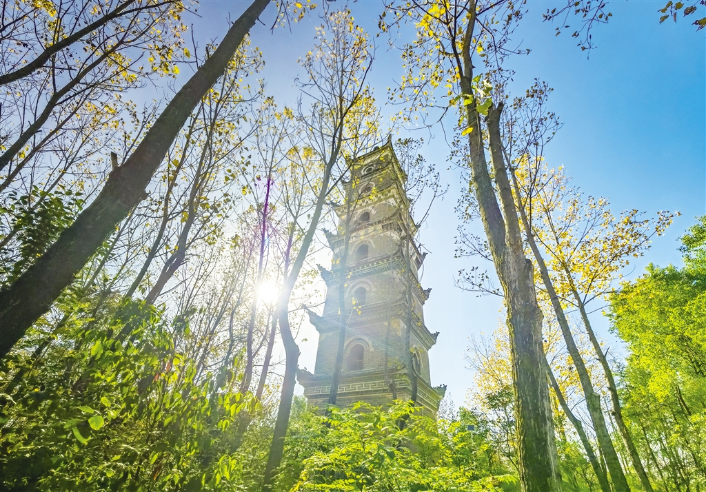 ������ĵ찲��