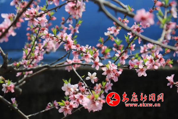 �l(xi��ng)�崺��