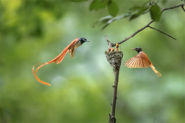 �ذ���� �hˮ���`