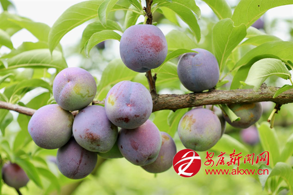 �f������ӭ���S�ռ�