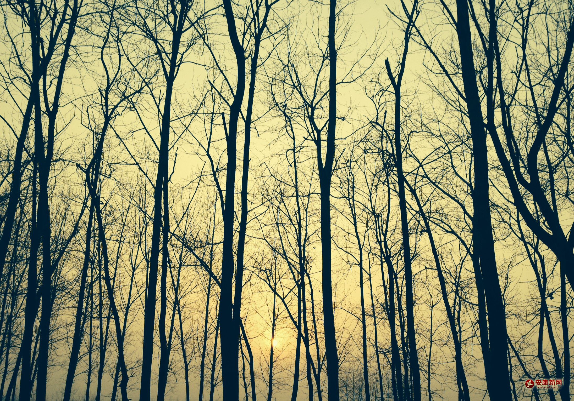 �l(xi��ng)���(sh��)��