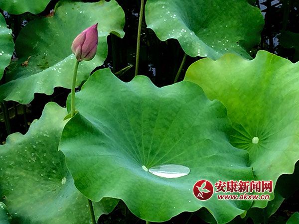 ��y�_(t��i)����ƽ�����Íu�ɻ��ؾ�