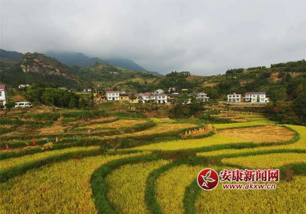 ��������֮--�h����u�P�ߵ��㼾������