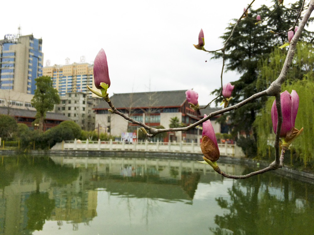 ����������������