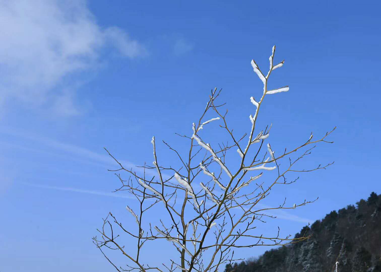 ֦�^�c(di��n)�c(di��n)ѩ