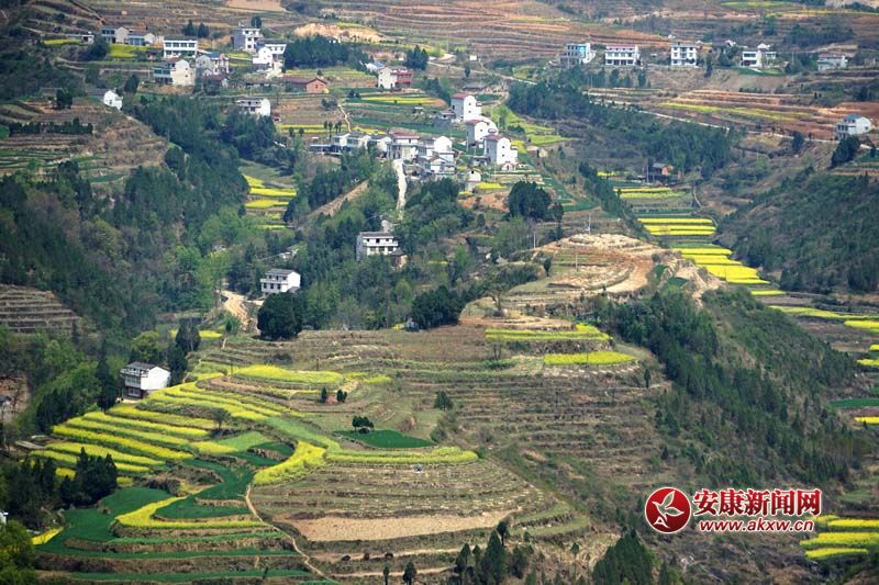 �D2.�����������̎�����(n��i)ꑸ�������(d��)�߁���ɽ����ɽ����ɽ��������ص�6�N���ε�ò���c(di��n)�����˷�����Ϣ���@����˂����ò����