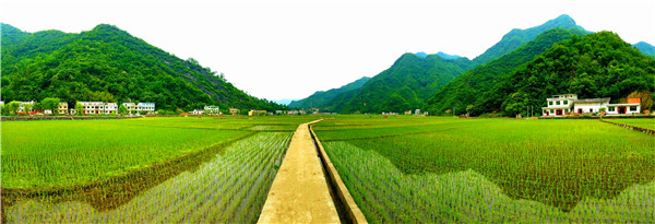 ��İ����