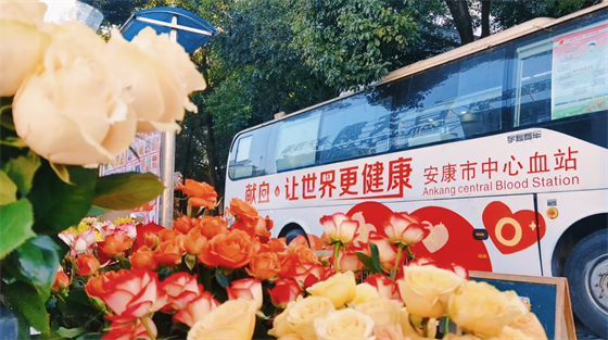 安康這三兄妹，熱血！