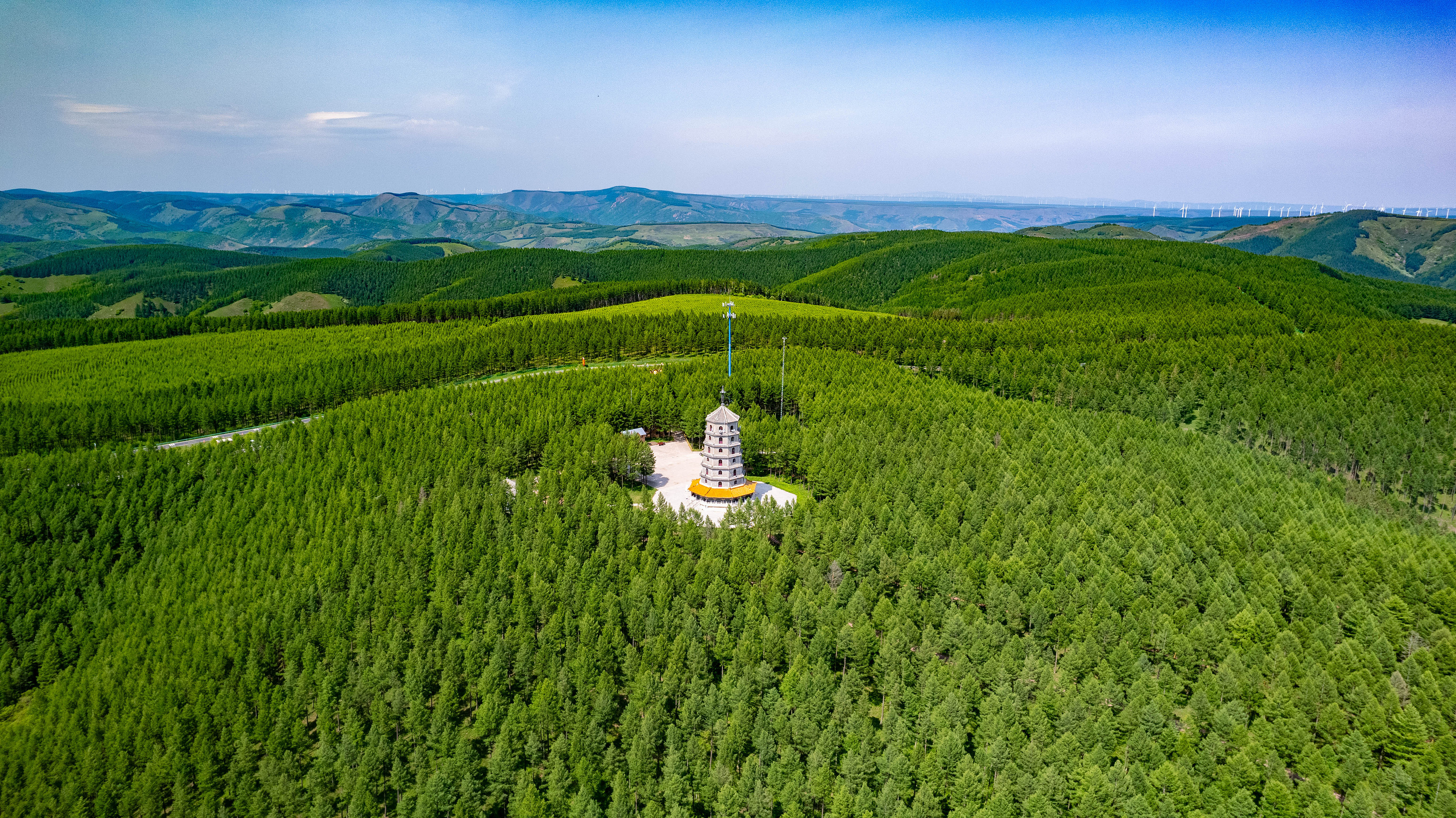 2025年6月11日，河北承德，塞罕壩林海浩渺。